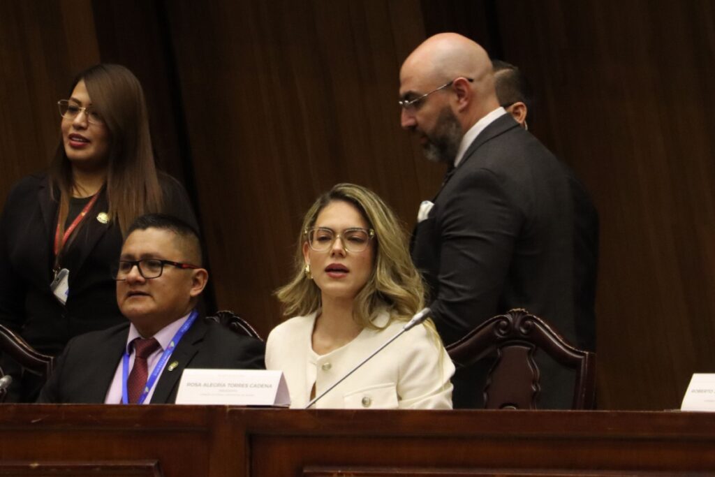 Mario Godoy habló sobre el análisis del Consejo de la Judicatura en la Asamblea Nacional.