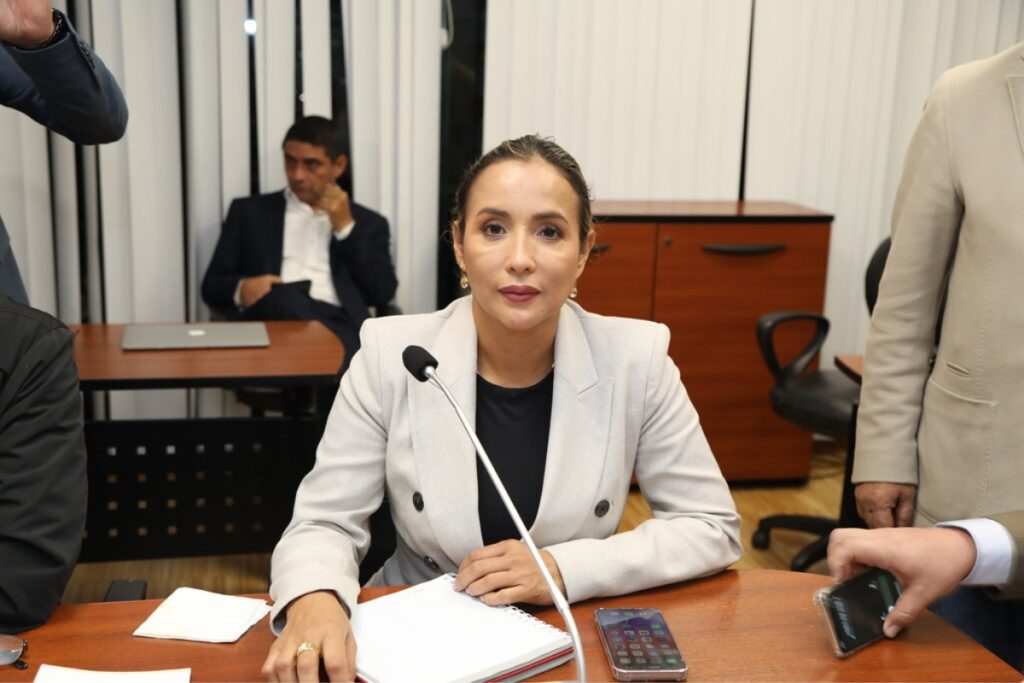 Yadira Bayas fue acusada de hacer precampaña electoral.