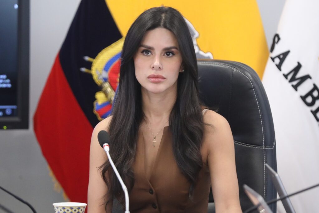Diana Jácome en una comisión de la Asamblea Nacional este 7 de julio de 2025.
