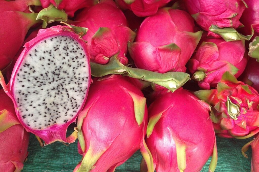 Agrocalidad informó que Perú cerró su mercado a la pitahaya de Ecuador.