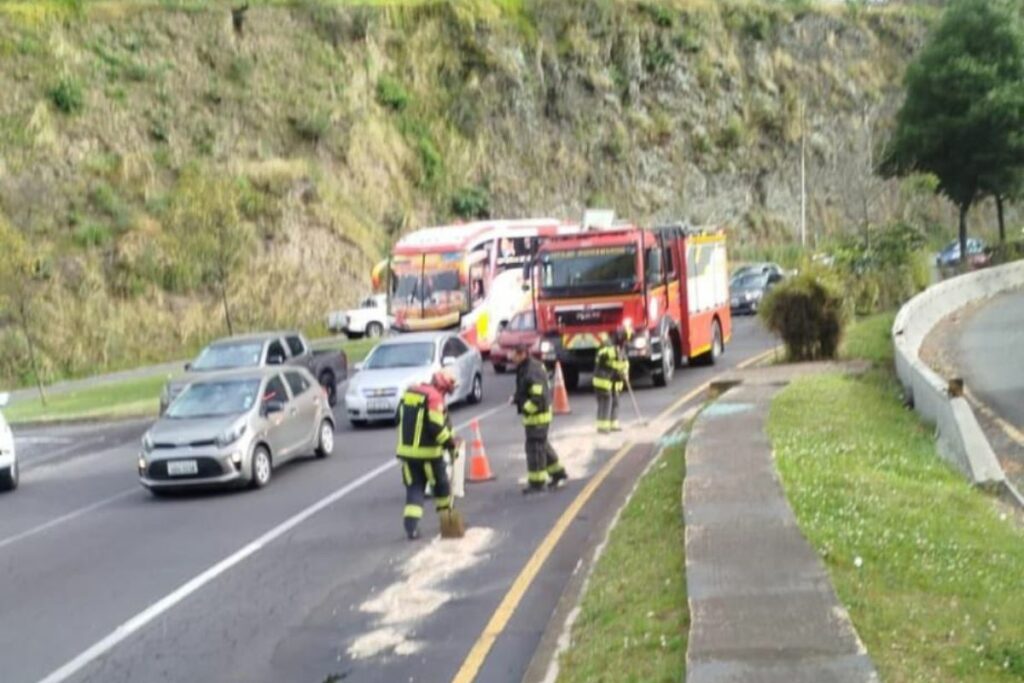 El Cuerpo de Bomberos realiza la limpieza de la calzada.