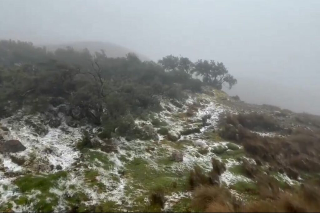 Una nevada se registró en el sector del Parque Nacional Cajas.