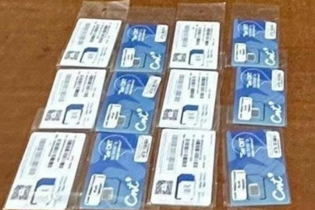 Varios chips estaban escondidos en un libro que trató de ingresar el militar.