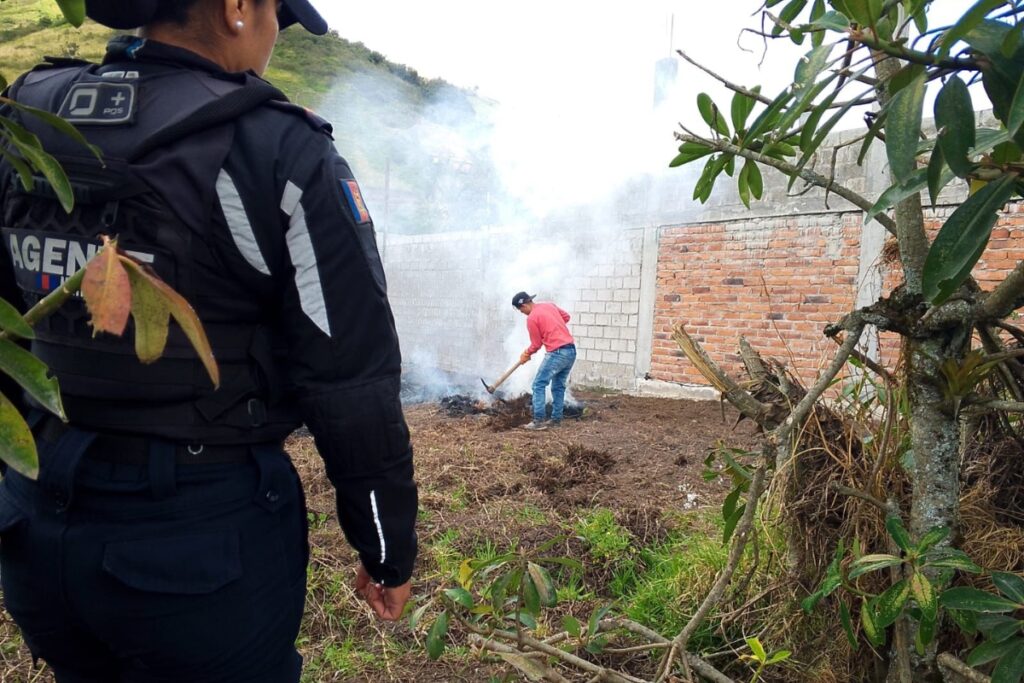 Las personas que iniciaron las quemas ilegales fueron sancionadas.