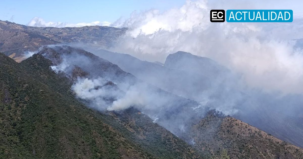 Gestión de Riesgos advierte condiciones propicias para incendios forestales en Ecuador