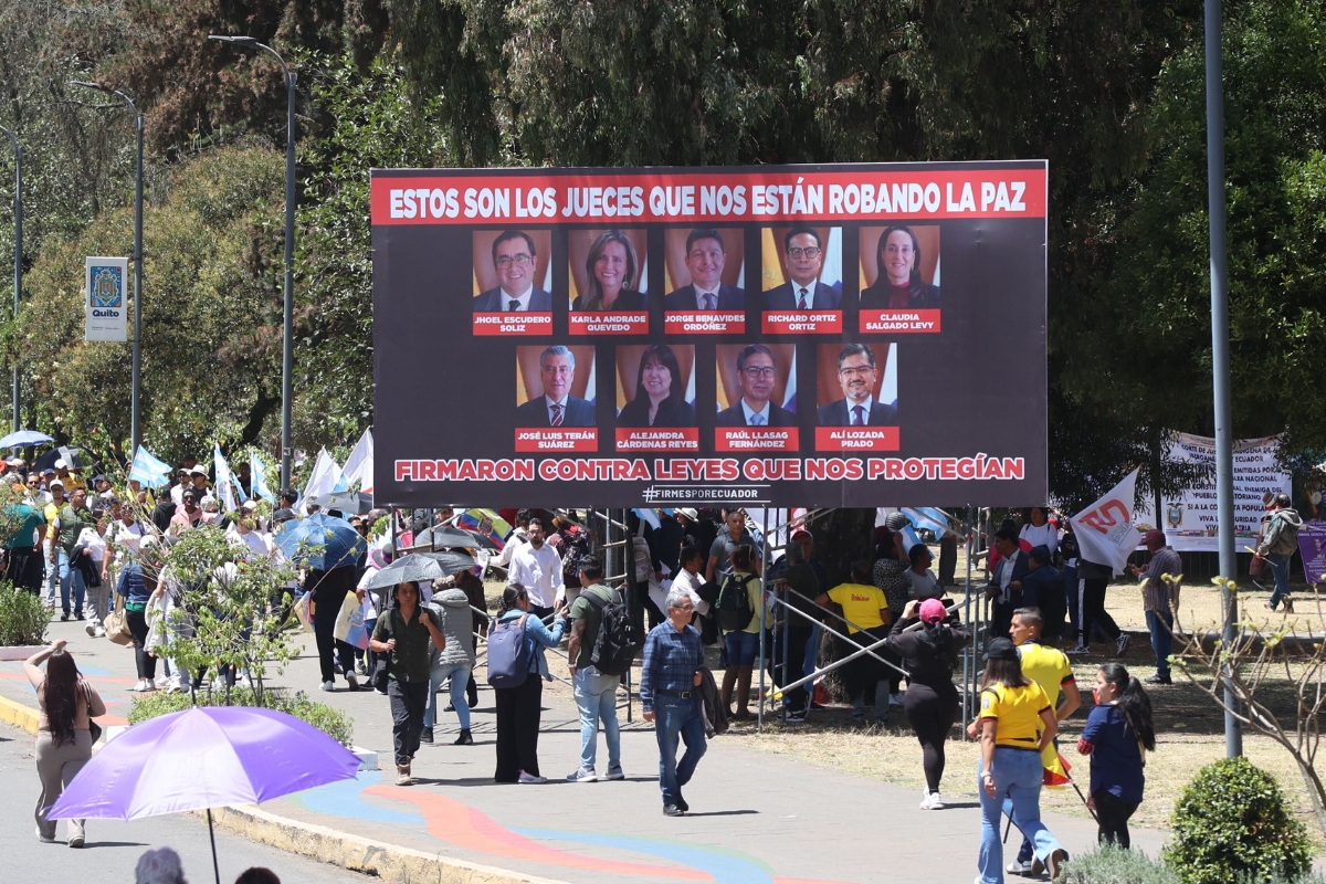Image from the march against the Constitutional Court. Source: El Comercio