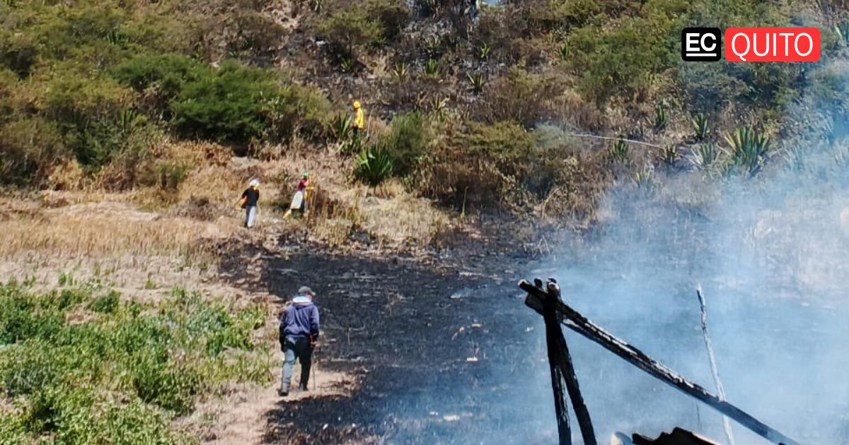 Bomberos lograron sofocar incendio forestal en Quito