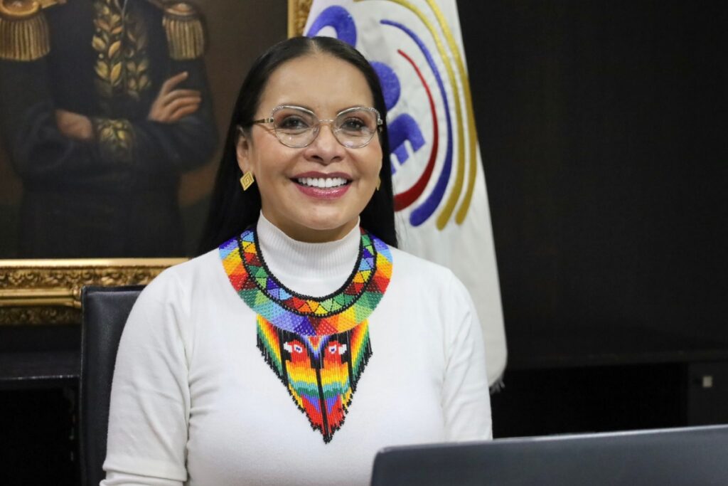 Diana Atamaint, presidenta del Consejo Nacional Electoral, durante la sesión del organismo.