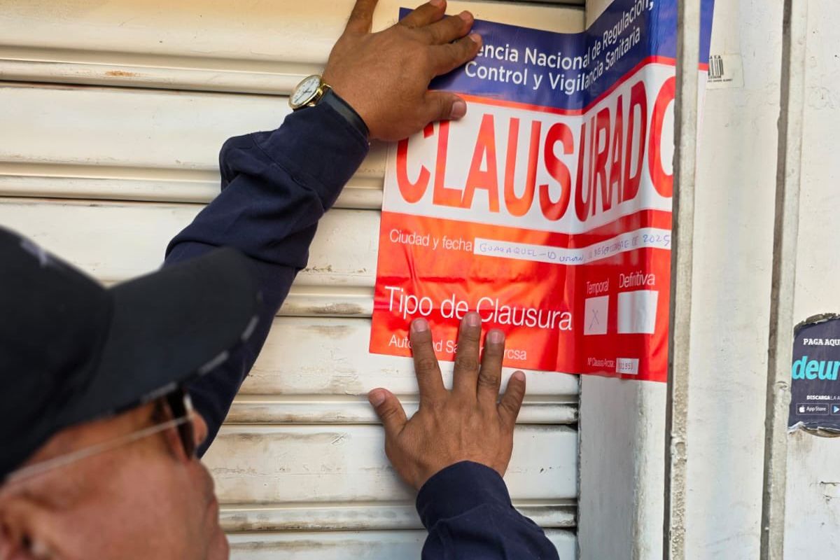 A metaphorical landscape representing the vastness of Kit Kalypso's influence