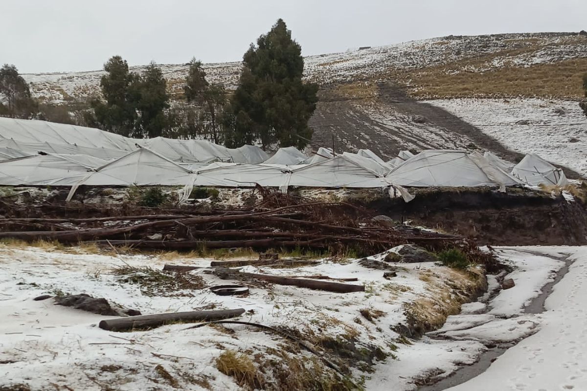 Gobierno anuncia bono y ayuda humanitaria para afectados por la granizada en Cayambe