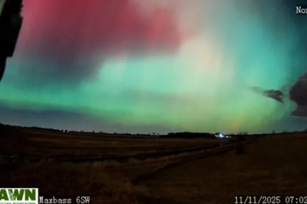 Captura de pantalla que muestra la aurora boreal aparecida el 11 de noviembre de 2025 en el norte del estado de Dakota del Norte (EE.UU). Foto: EFE