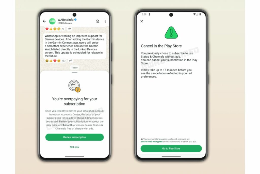 Interfaz de anuncios pagos.