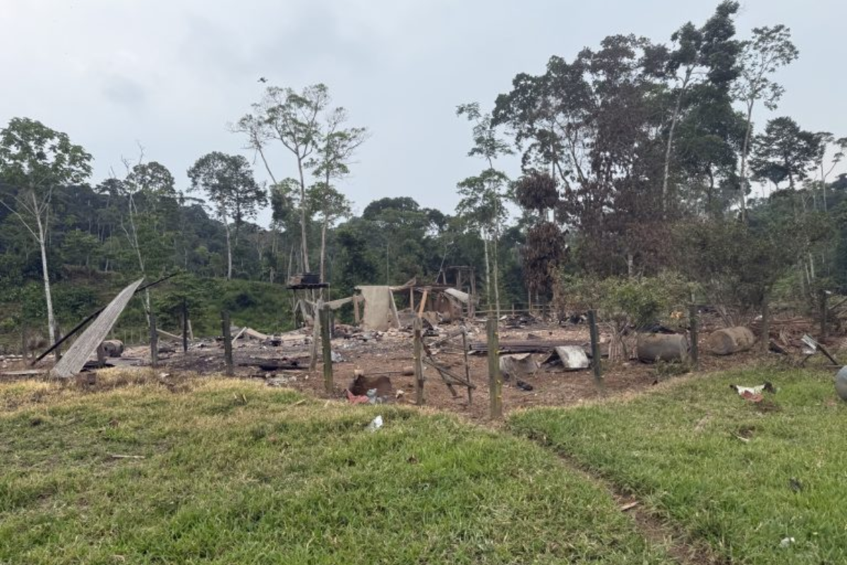 The New York Times cuestiona operativo militar en Ecuador: ¿Campamento narco o granja lechera?