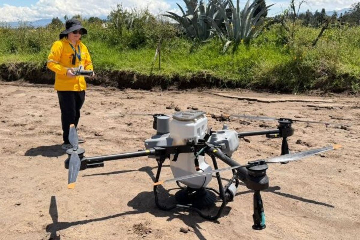 Quito Despliega Drones para Reconstruir Bosques Quemados
