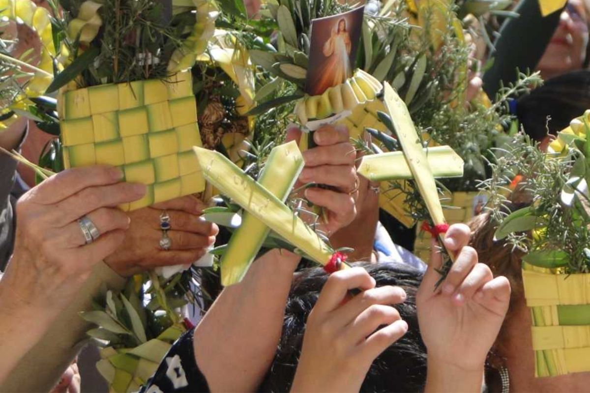 DOMINGO DE RAMOS: Quito en Movimiento Controlado