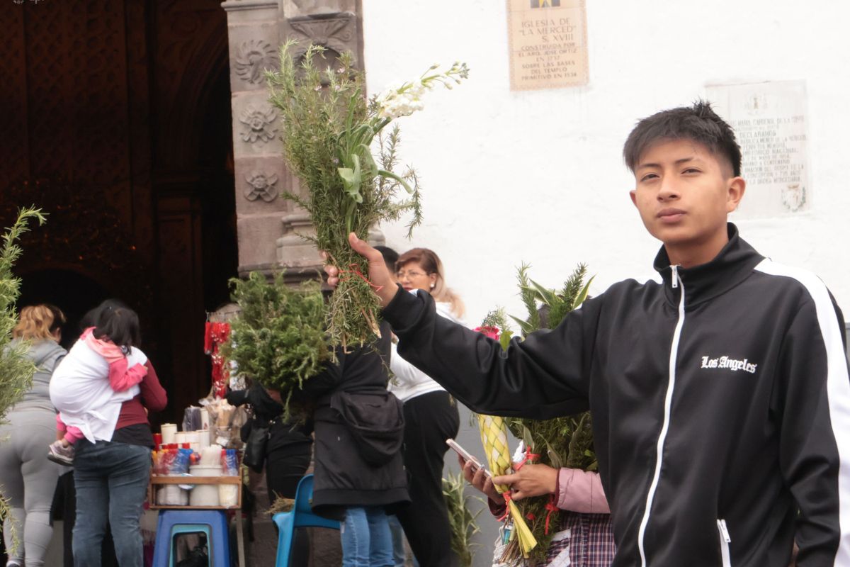 Ecuador Launches Campaign to Protect Palm Trees During Easter