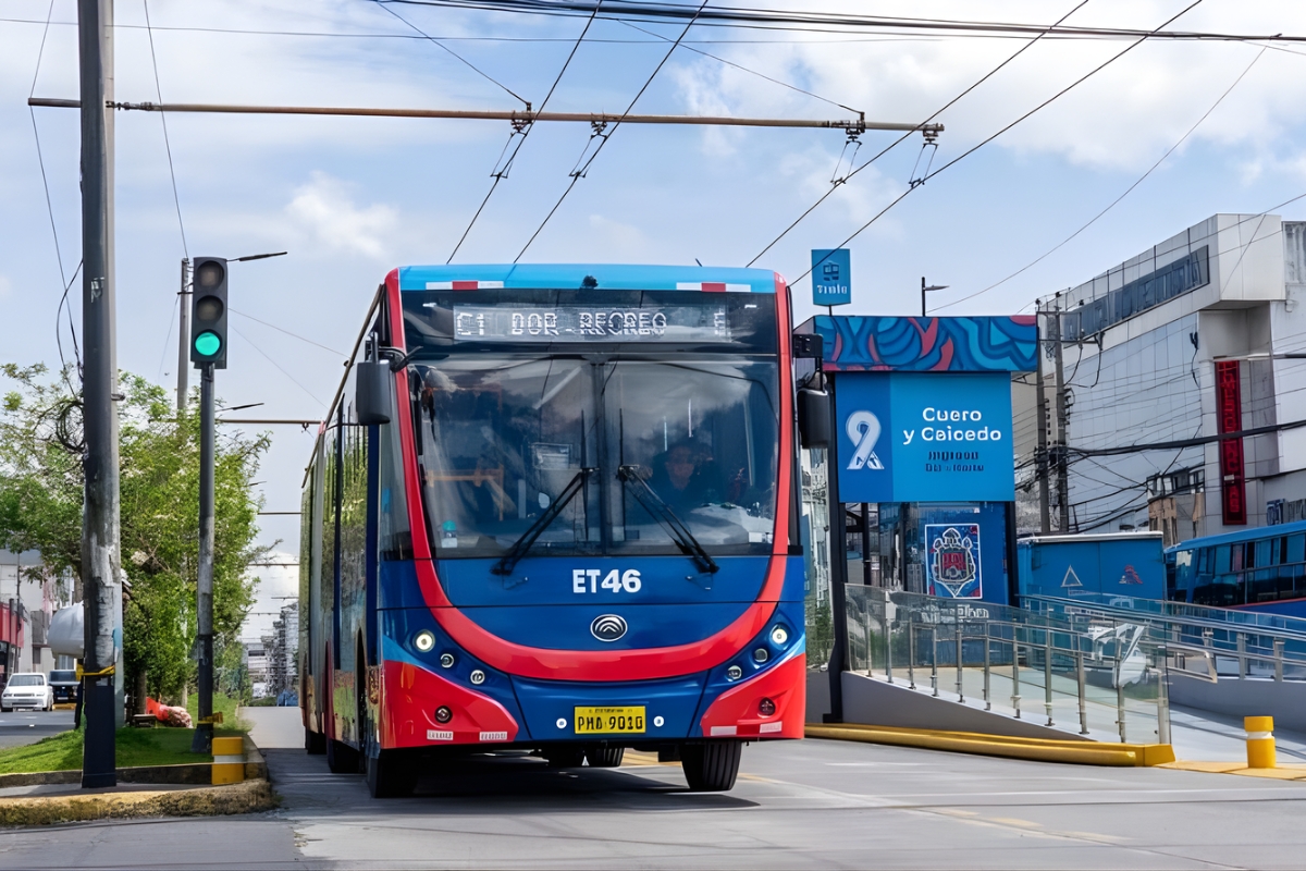 Trolebuses eléctricos cumplen un año de operación; esta es la cantidad de viajes realizados