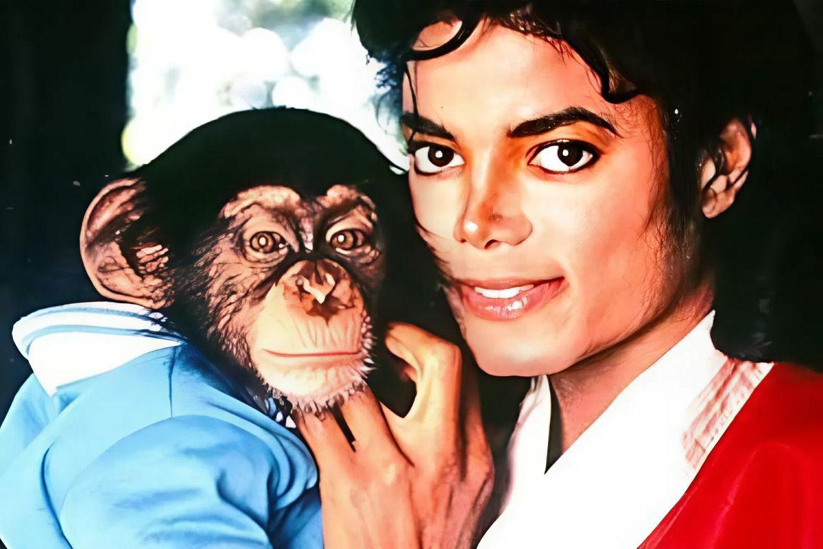 Michael Jackson y su chimpancé adoptado: así está ahora