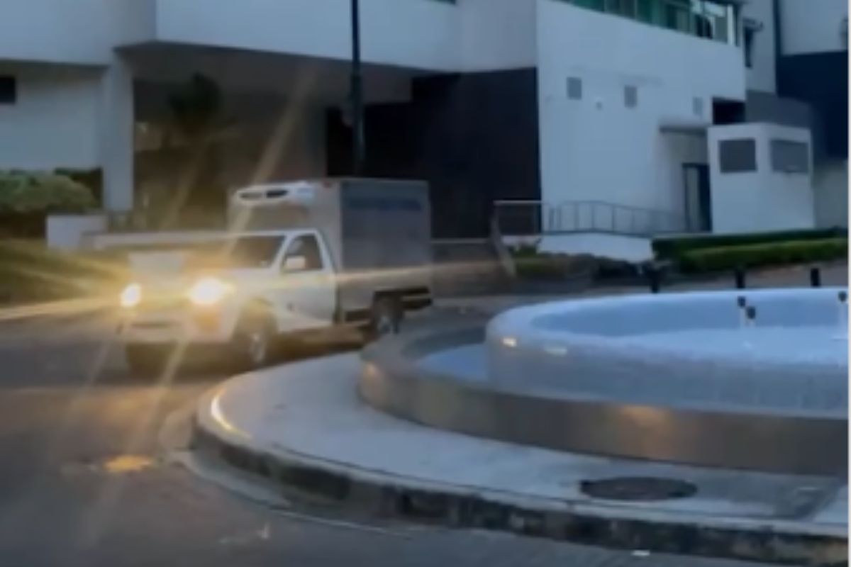 Alias ‘Frenillo’ muere al caer de un edificio en Guayaquil cuando la Policía intentaba capturarlo