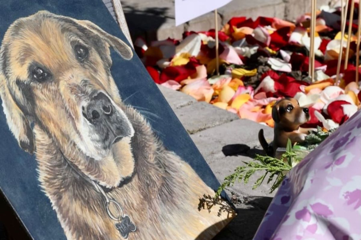 Max, el ‘presidente’ de los Poliperros, recibió un último adiós