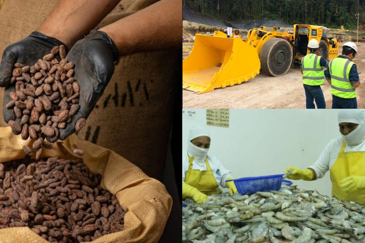 BCE ajusta al alza la proyección de crecimiento para 2026: Ecuador se expandirá un 2,5 %