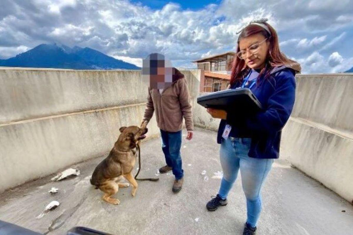 Rescatan a Hachi de una terraza en La Alameda, Quito