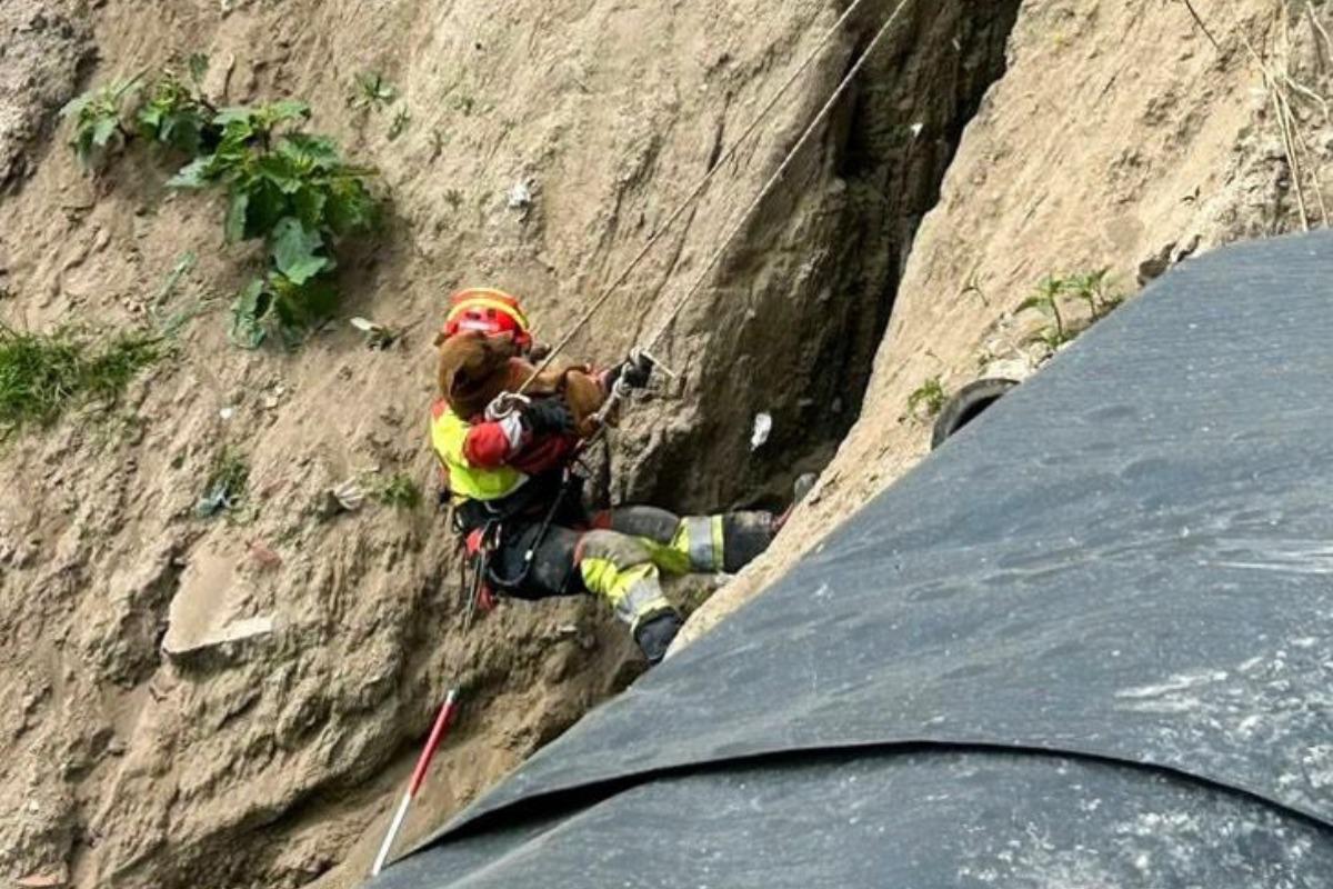 Rescatan a perro en quebrada de Quito gracias a denuncia