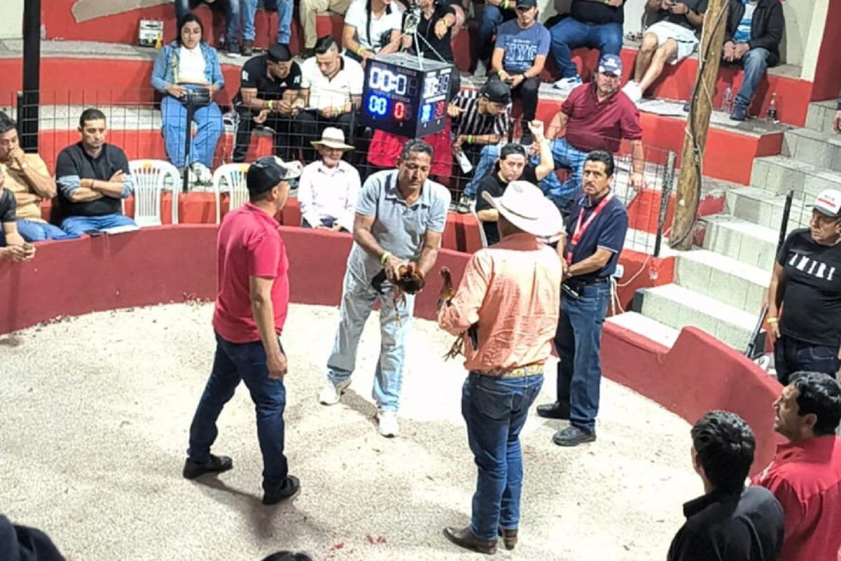 Controlan apuestas ilegales y maltrato animal en Yaruquí