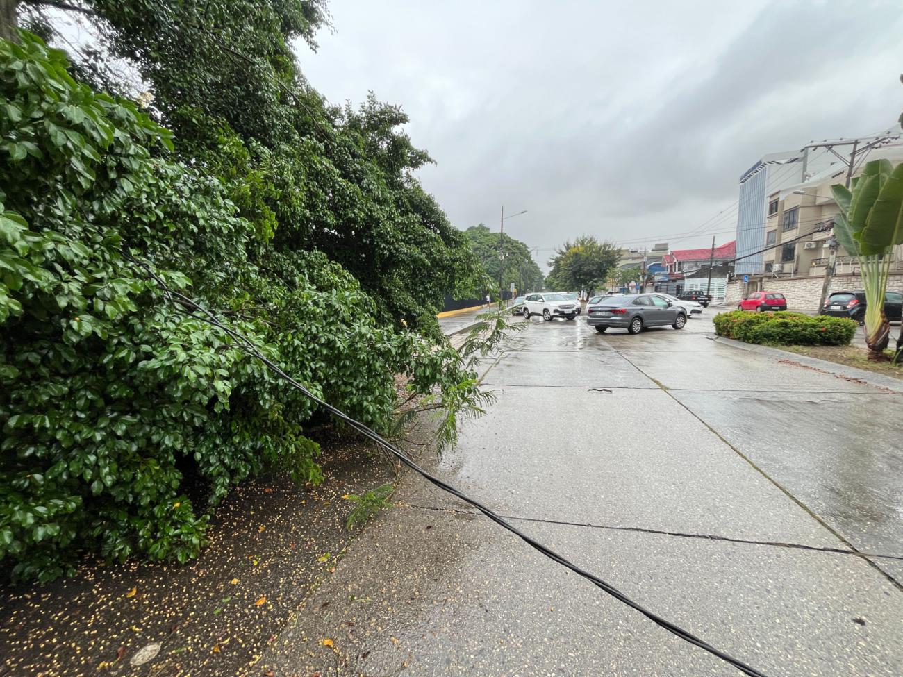 Lluvias en Guayaquil alcanzaría la misma cantidad 