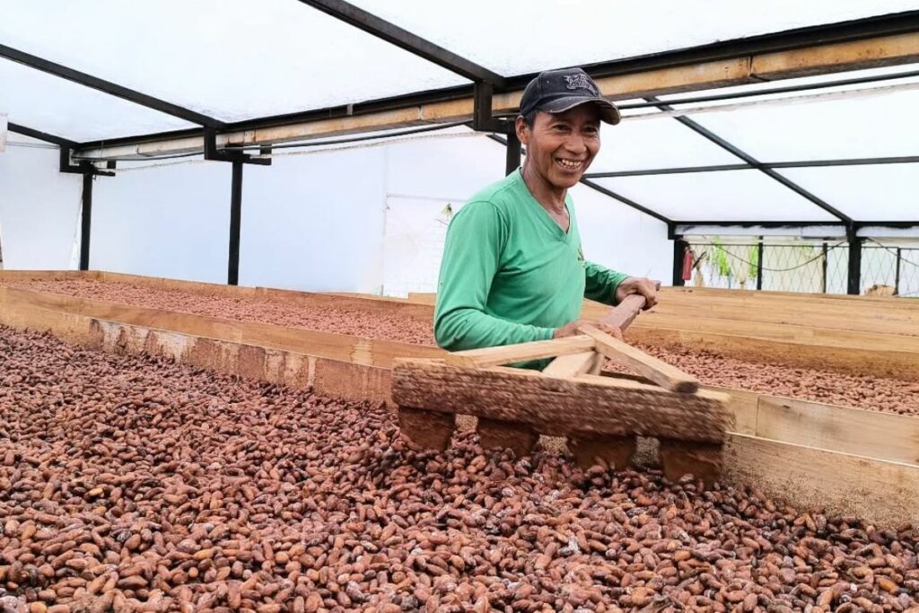 Ecuador exporta cacao en grano a México; es el primer producto de la canasta comercial enviado al país centroamericano.