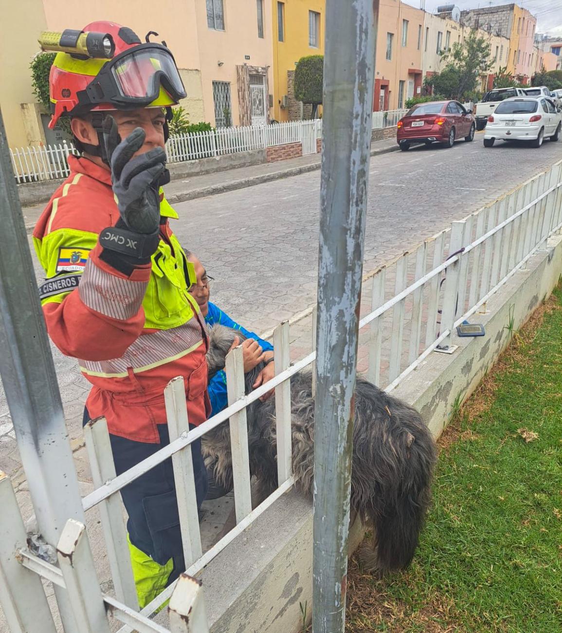 Rescate de Pancho