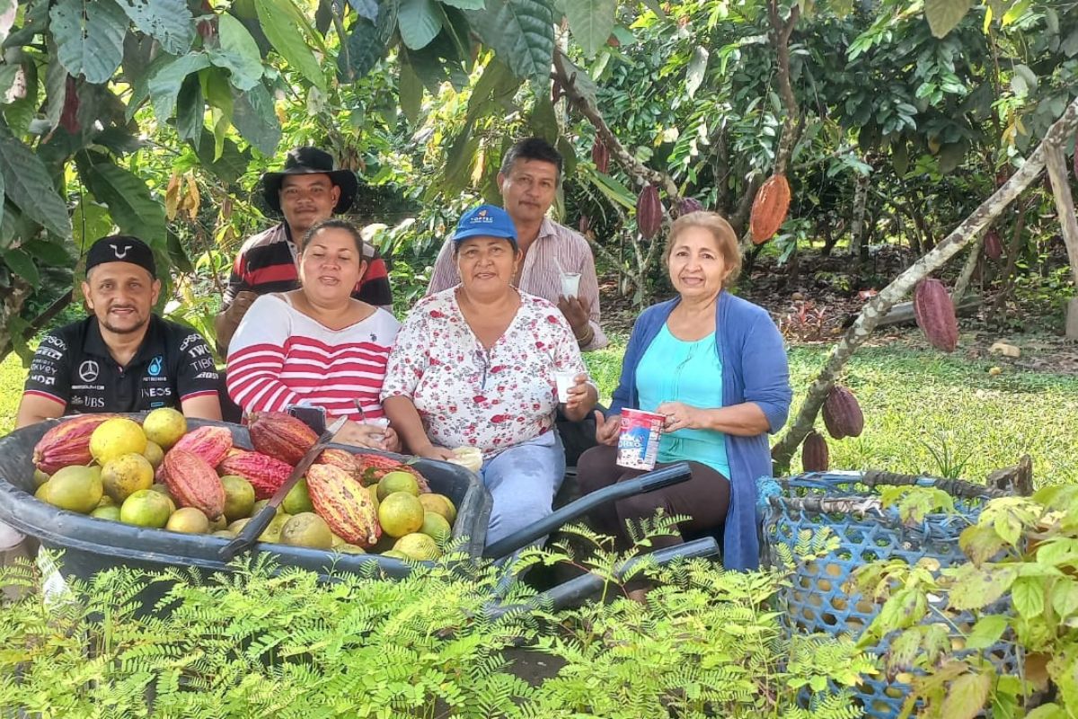 Pequeños productores y sus aliados, el secreto det
