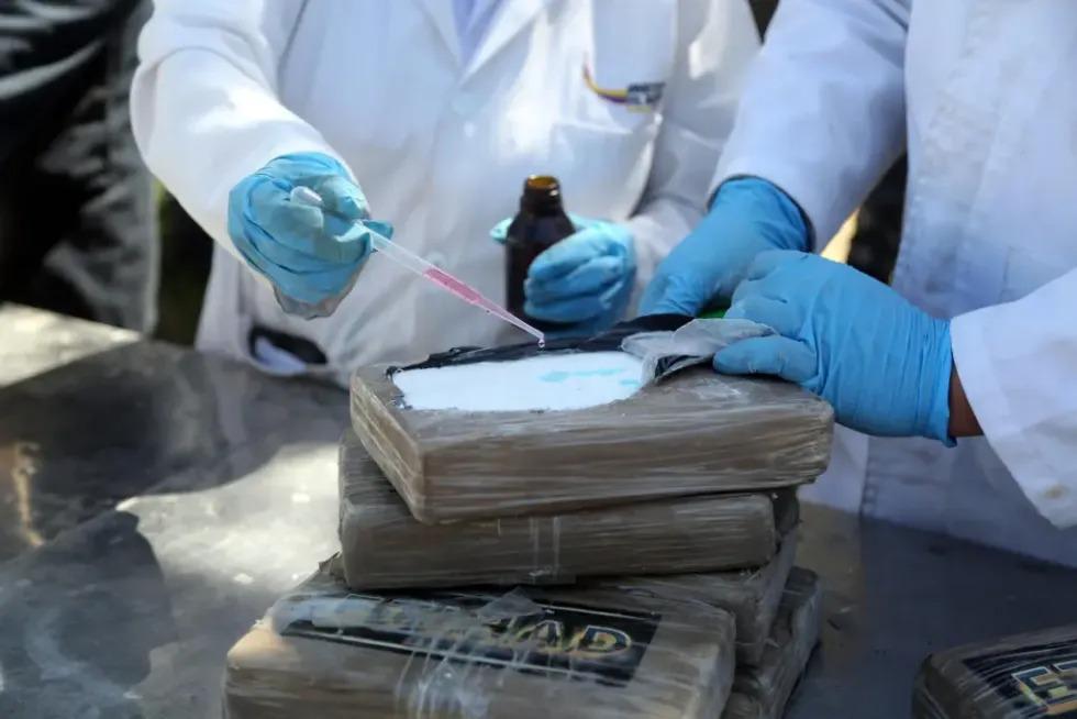 Fotografía que muestra un operativo de destrucción de droga