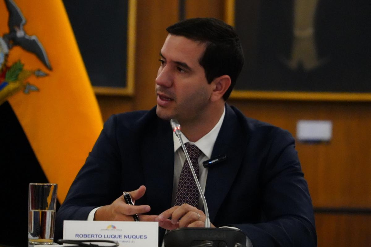 Roberto Luque habló sobre el caso Progen y los contratos eléctricos