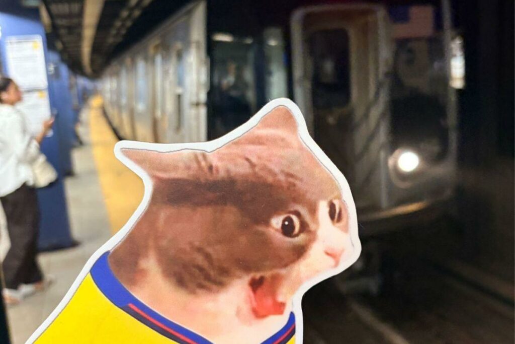 El metro tiene línas las 24 horas.