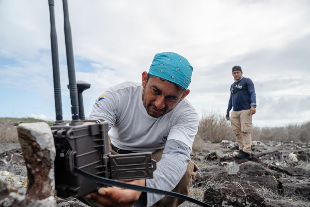 Francisco Moreno, guardaparque del Parque Nacional Galápagos, instala una cámara trampa LinkEye en el sector de Muyuyos, al sur de la isla Floreana. Al fondo, JuanPablo Mayorga, técnico de la Fundación Jocotoco.