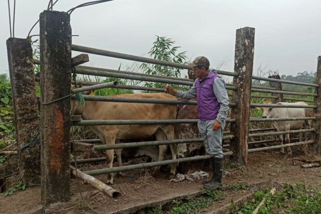Agricultura hace recomendaciones al sector ganadero frente al fenómeno de El Niño