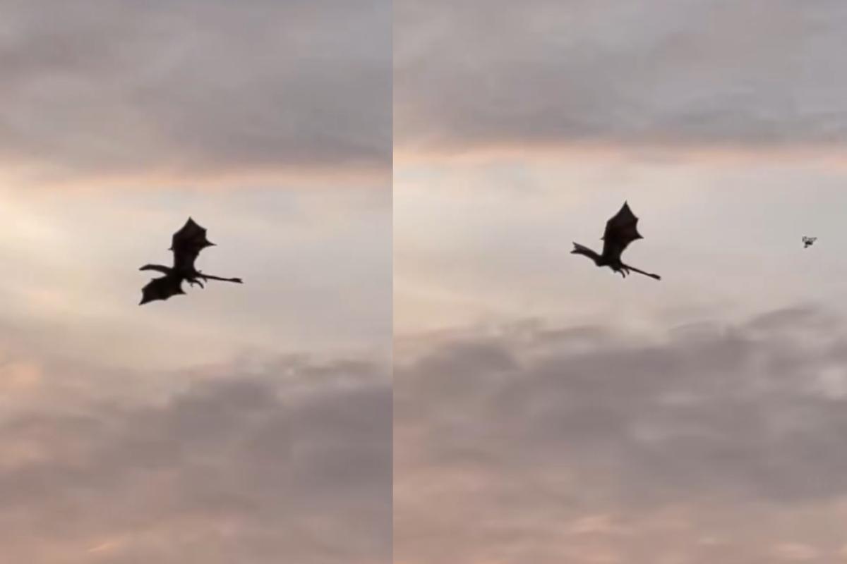 El cielo de Escocia amaneció con un dragón de ocho metros y era real