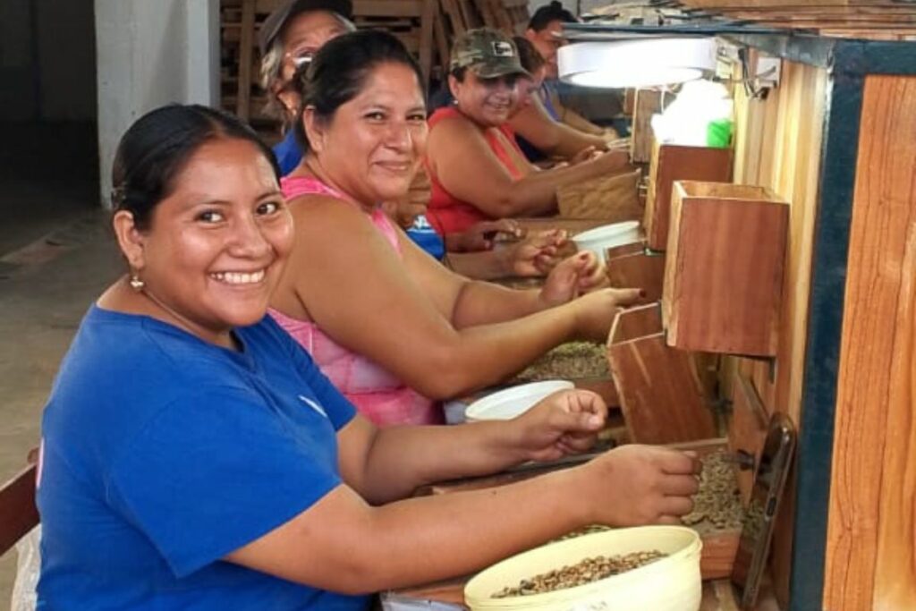 Productores de Paján piensan en grande y exportan su café y maní orgánicos