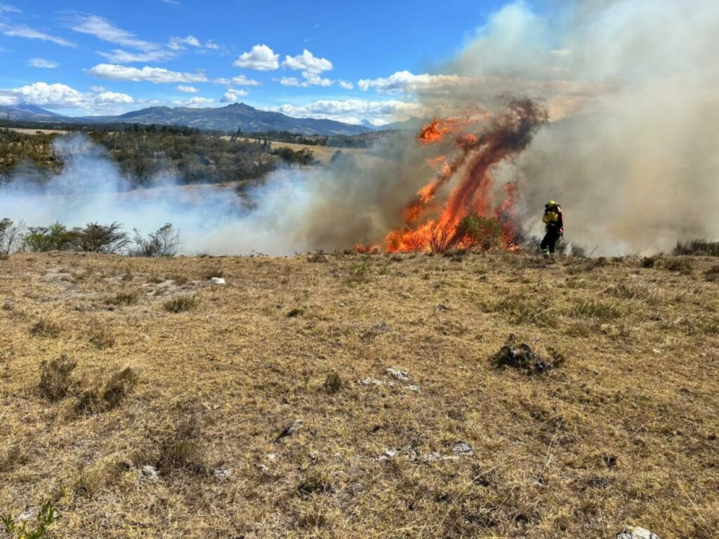 Bombero de Quito trabaja en el control de un incendio forestal.