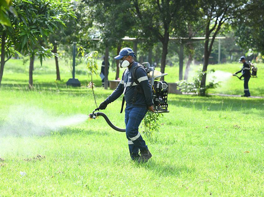 Las fumigaciones en zonas de Guayaquil ayuda a reducir casos de dengue.