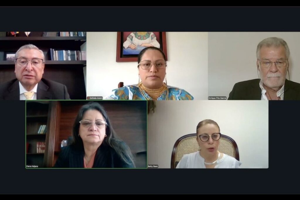 Pleno CNE sobre revocatoria del mandato