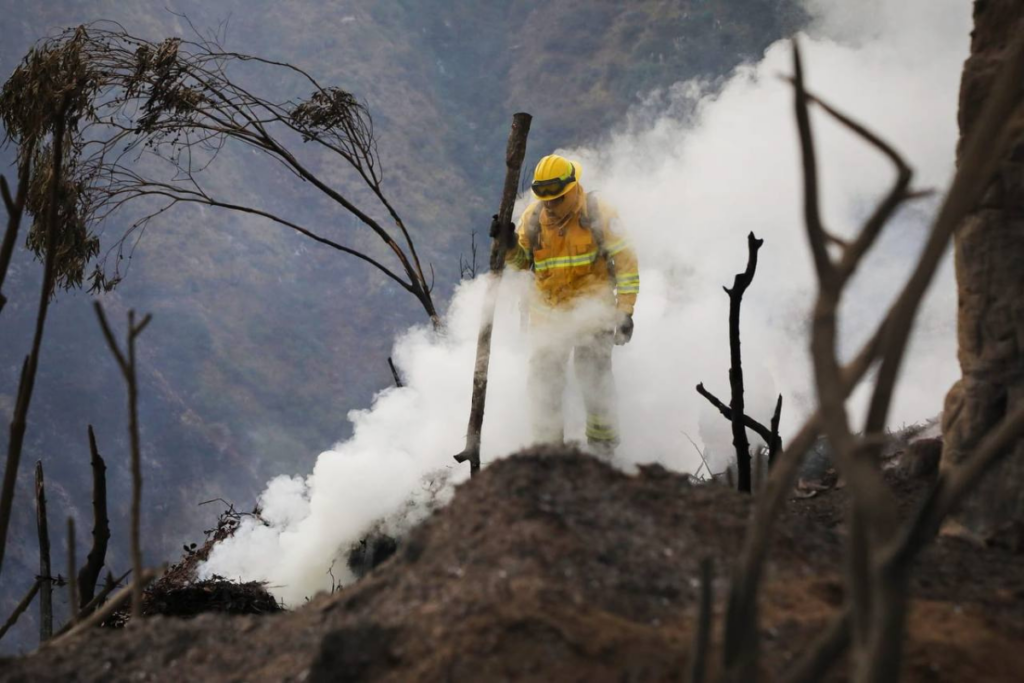Bomberos de Quito informaron que más de 60 hectáreas de vegetación resultaron afectadas. Foto: Quito Informa