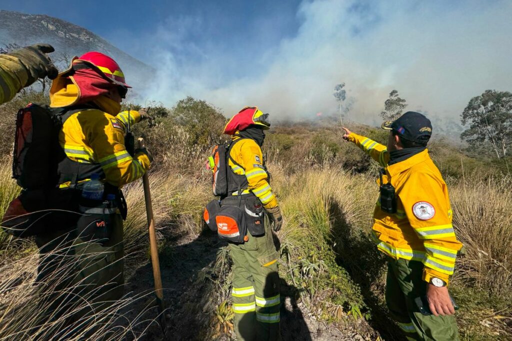 Bomberos Quito controló el incendio forestal de Calacalí.