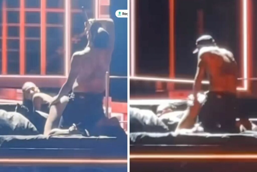 Chris Brown protagonizó una atrevida escena con una fan durante su concierto de The R&B Tour en Toronto.