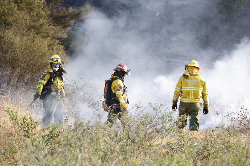 Quito, Carchi y Chimborazo registraron incendios forestales activos este domingo 16 de agosto