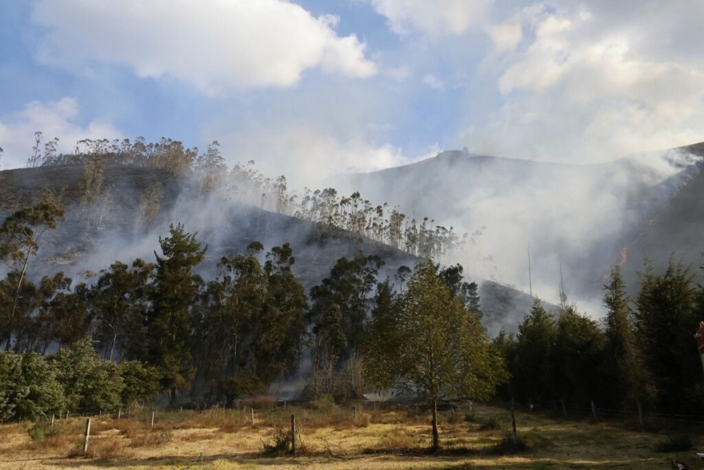 El incendio forestal de Calacalí fue controlado.