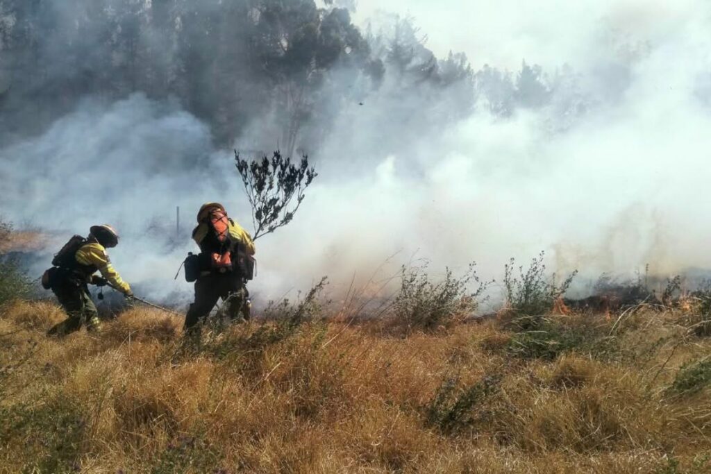 Bomberos de Quito combaten un incendio forestal entre vegetación seca y una intensa columna de humo.