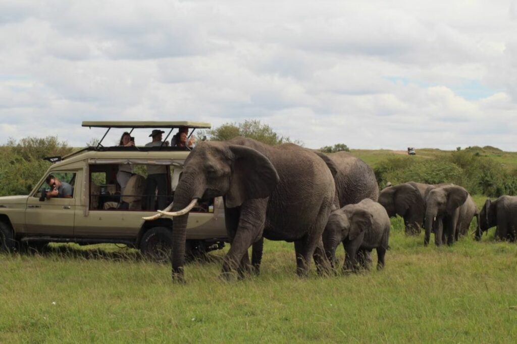 Kenia es famosa por sus safaris.