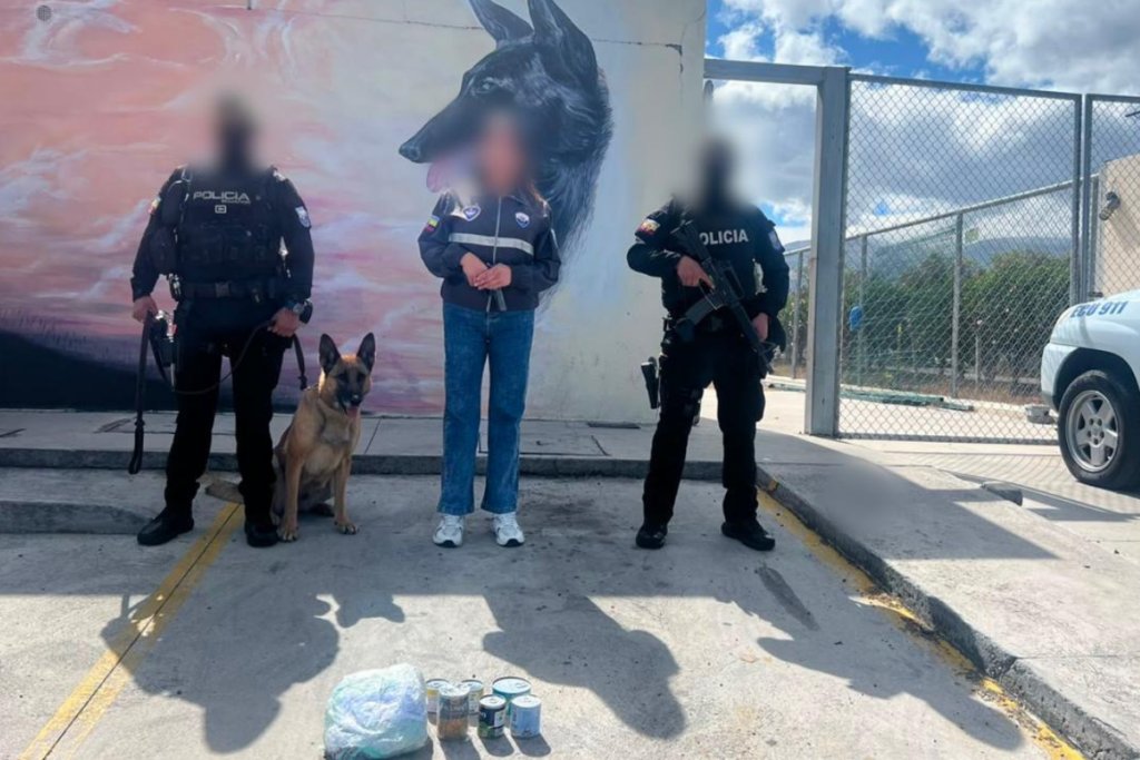 La Policía halló droga líquida camuflada en productos enlatados.